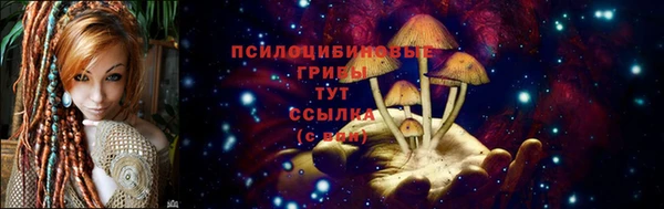 а пвп мука Абаза