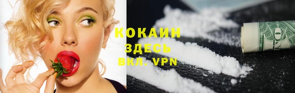 индика Абинск