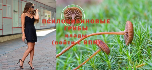 ПСИЛОЦИБИНОВЫЕ ГРИБЫ Нефтекумск