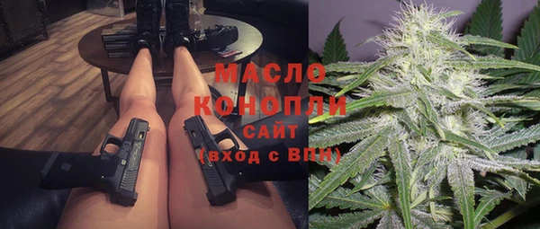 индика Абинск