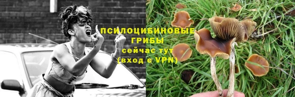 индика Абинск
