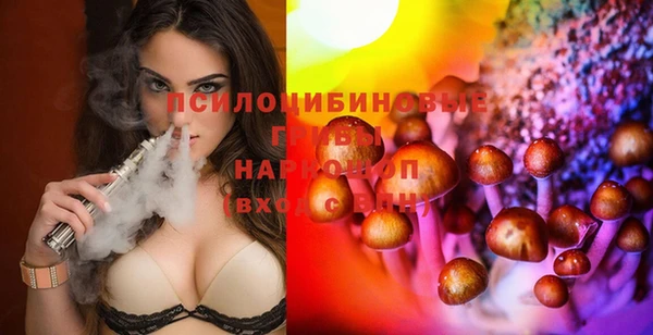 а пвп мука Абаза