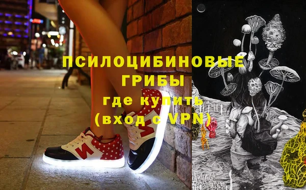 индика Абинск