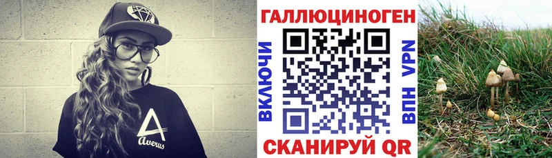 Псилоцибиновые грибы Psilocybe  Иркутск 