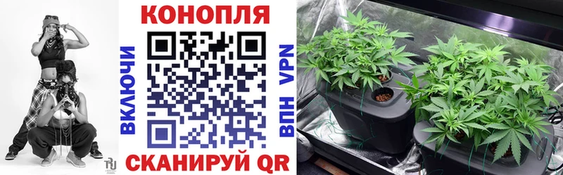 Конопля Ganja  где купить   Иркутск 